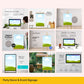canva mockups