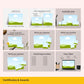 canva mockups